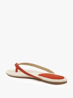 Splendid Footwear Splendid Women’s Ashlee Flip Flop -Sandals Sales LL2032 POPPYalt2